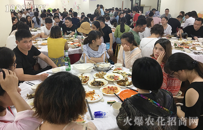 海水蕩漾,我心飛揚