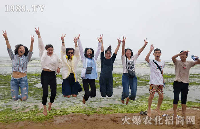 海水蕩漾,我心飛揚