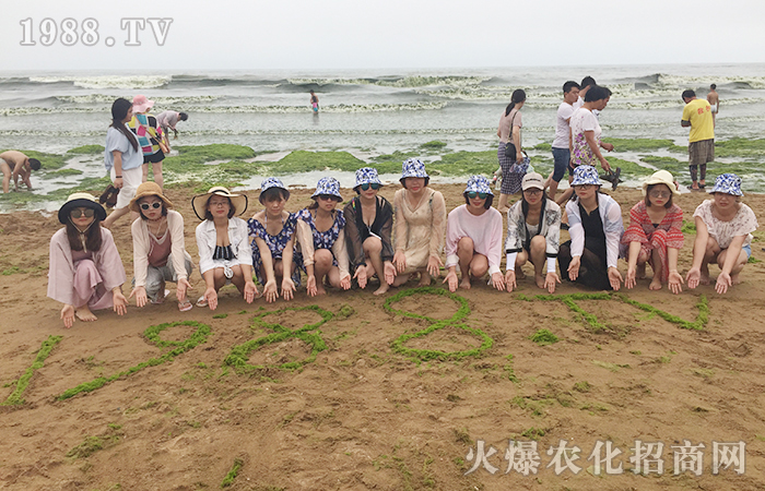 海水蕩漾,我心飛揚