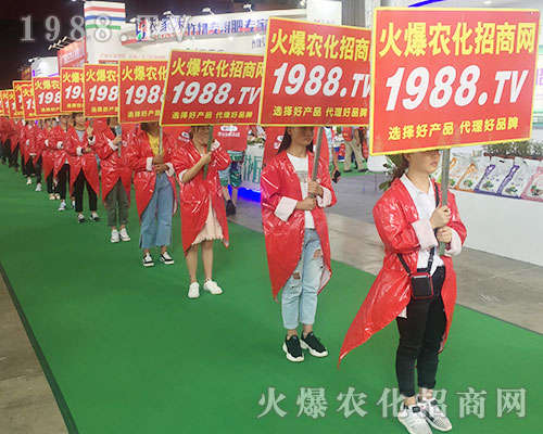 2018�����r(n��ng)�Y��(hu��)��1988.TV������������(sh��)���ɓ�