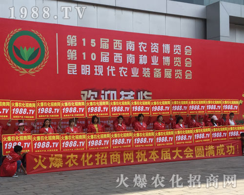 �o̎�����r(n��ng)���W(w��ng)���M�۱M�ǻ𱬼t��