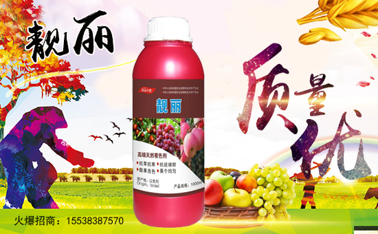 【河南吉力安】祝大家歡歡喜喜迎新年,開開心心過大年!