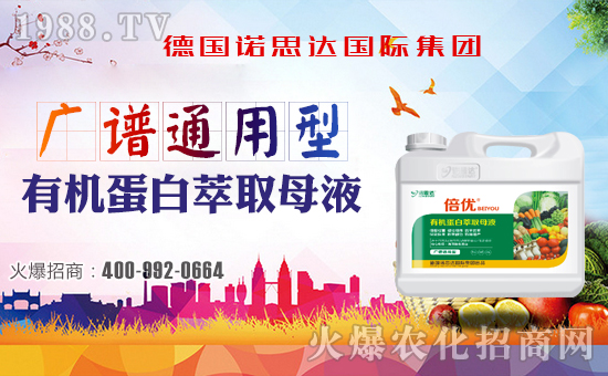 【德國諾思達】恭祝大家新春快樂,幸福安康!