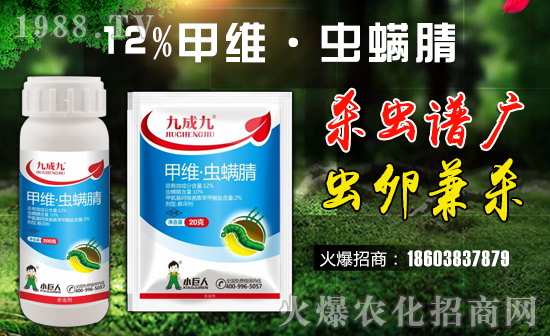 ��С�����r�I(y��)��ף������µ�һ�������w�����������³����f�����⣡