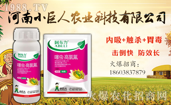 ��С�����r�I(y��)��ף������µ�һ�������w�����������³����f��������