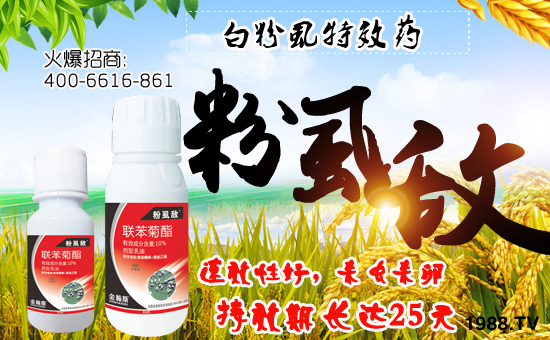 【金瀚斯農(nóng)業(yè)】祝全國朋友身體健康,萬事如意!