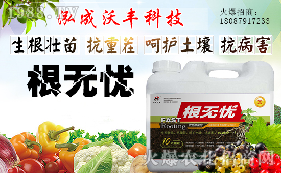 【泓成沃豐】祝全國(guó)經(jīng)銷商身體健康,豬年吉祥!