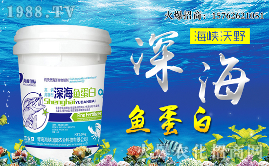 【海峽沃野】祝全國朋友豬年大吉,萬事如意!