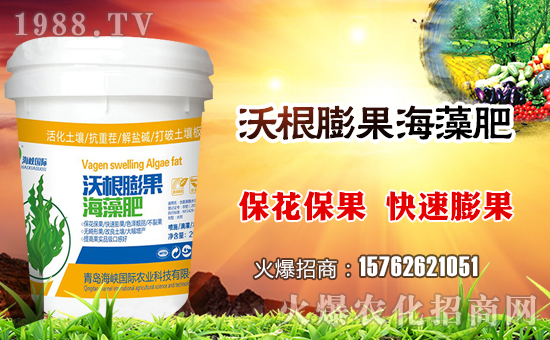 【海峽沃野】祝全國朋友豬年大吉,萬事如意!