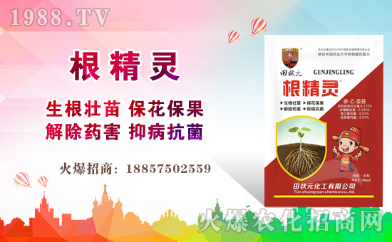 【田狀元化工】祝全國(guó)經(jīng)銷(xiāo)商豬年大吉,萬(wàn)事如意!