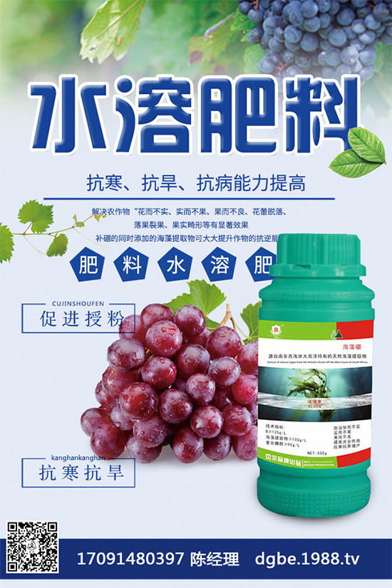 甘藍(lán)黑斑病危害這么大,到底該如何防治?快來看看吧!