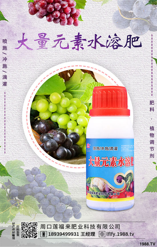 ��С�����N����粻�R����ô������С�����粻���A(y��)����ʩ��