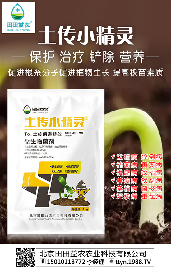 ���Տ�(f��)�Ϸʃr(ji��)����������������A(y��)�y(c��)2019-10-12