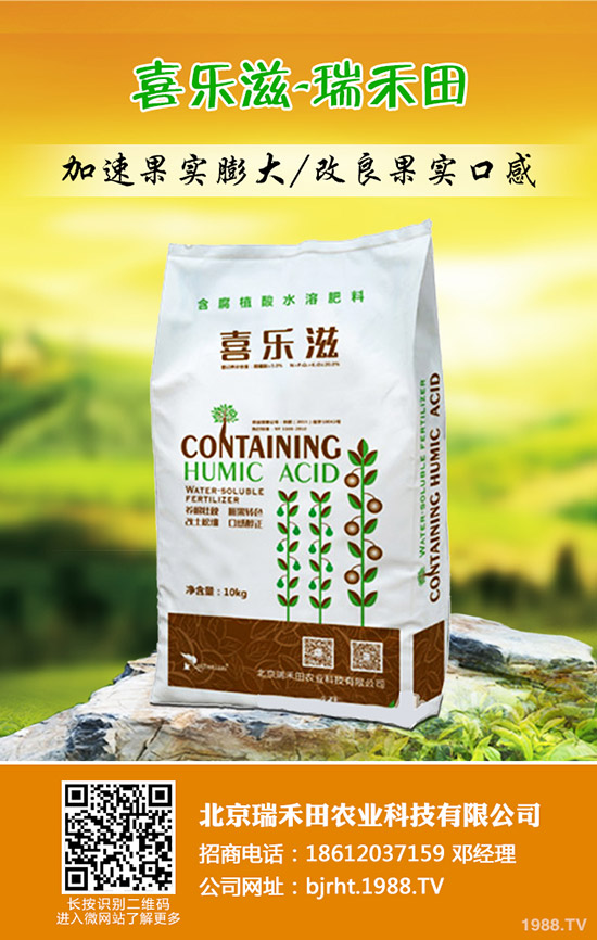 大蒜什么時候種植，大蒜種植方法是什么？