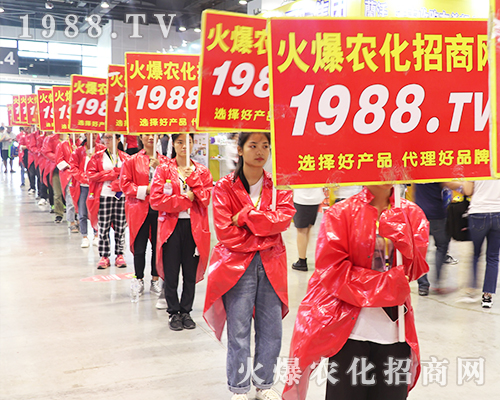     2019�Ϸ��r(n��ng)�Y���[��(hu��)�ϻ��r(n��ng)���W(w��ng)��Ӣ�ɳ�������(zh��n)��(j��)��