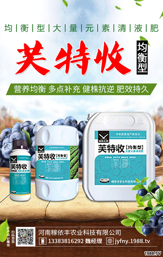 陽臺(tái)上能種植上海青嗎?該注意什么?陽臺(tái)上種植上海青的注意事項(xiàng)