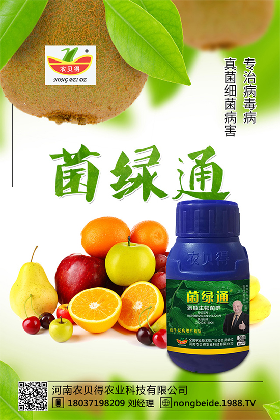 С��������_�x�N����֪������x�N�Ŀ��@����