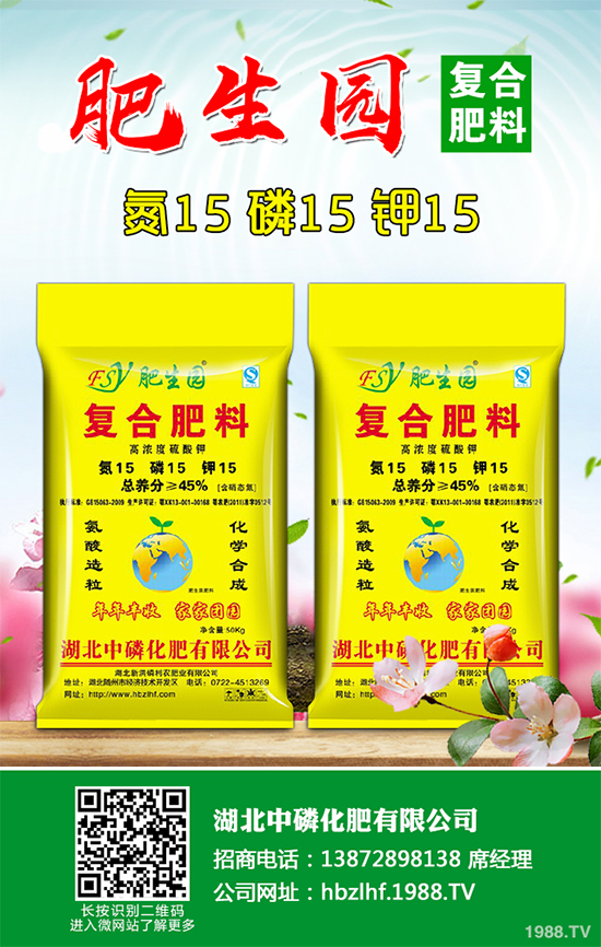 香菜如何施肥產量更高?秋茬香蔥高產施肥方案