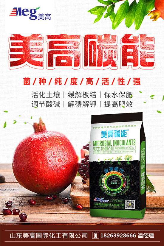     2019��10��17�ս��Շ�(gu��)��(n��i)⛷ʃr(ji��)�������߄�(sh��)�A(y��)�y(c��)�C���u(p��ng)��