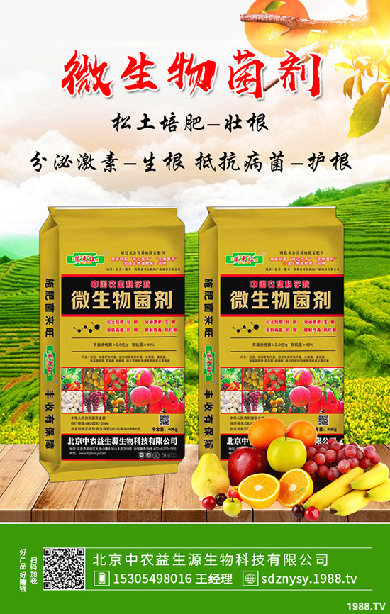     荷蘭豆秋季能種植么？畝產(chǎn)利潤(rùn)如何？荷蘭豆種植管理技術(shù)！