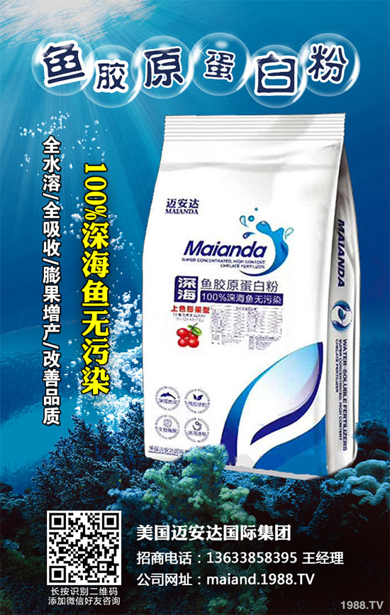 �ײ˲�����Σ���޴󣬵���ԓ��ô�k���ײ˲�����������ΈD�V