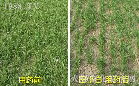 ��(ji��)��(ji��)����η�������ʲôˎ����ô��ˎЧ������