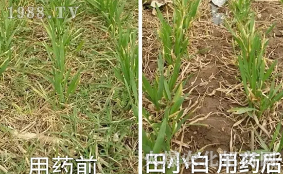 ��(ji��)��(ji��)����η�������ʲôˎ����ô��ˎЧ���ã�