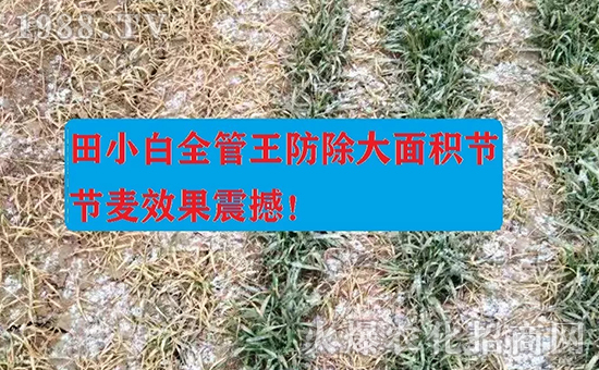 ��(ji��)��(ji��)����η�������ʲôˎ����ô��ˎЧ���ã�