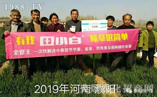 39��(ji��)��(ji��)����η�������ʲôˎ����ô��ˎЧ������