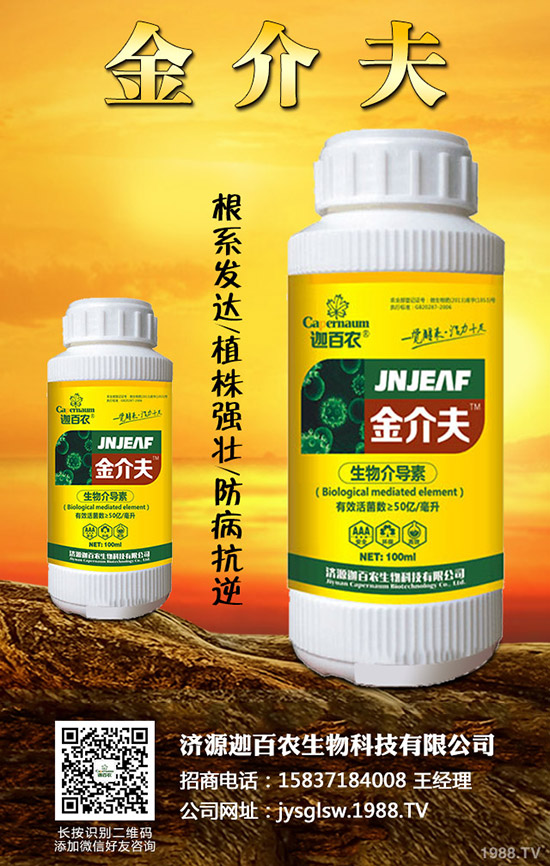 ���������o��������ô�k�������o���������\���c���Σ�