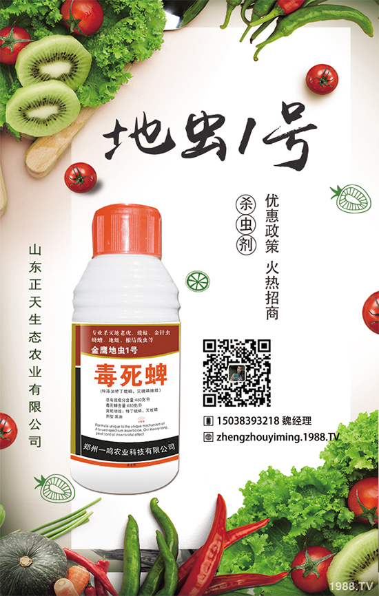 �����}����ηNֲ�������}����Ҫע��ʲô��