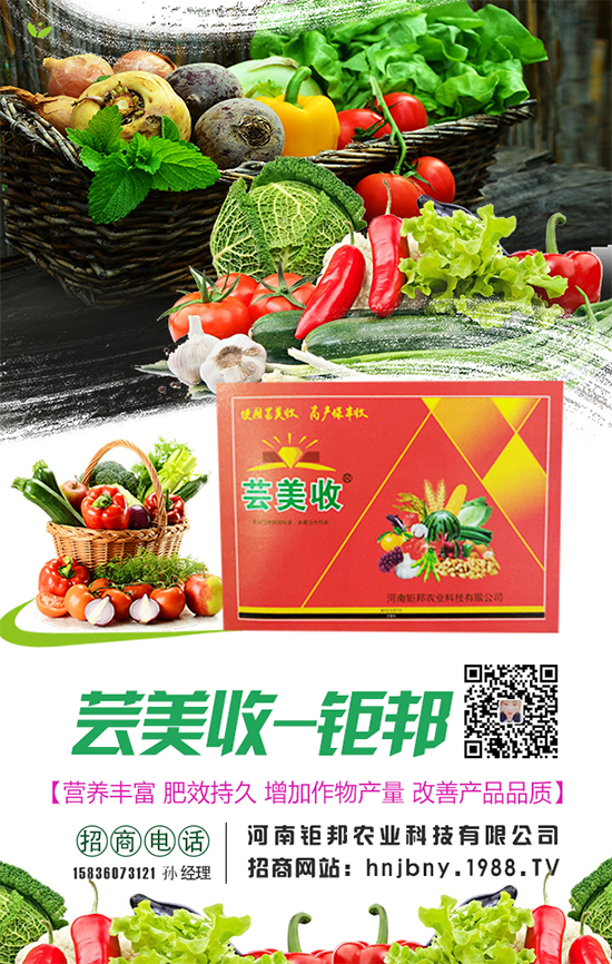 櫻桃蘿卜生長對環(huán)境條件要求，櫻桃蘿卜怎么施肥？