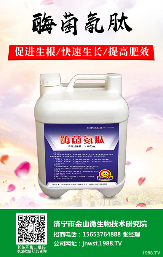 天冬怎樣種植，天冬高產(chǎn)管理技術(shù)！