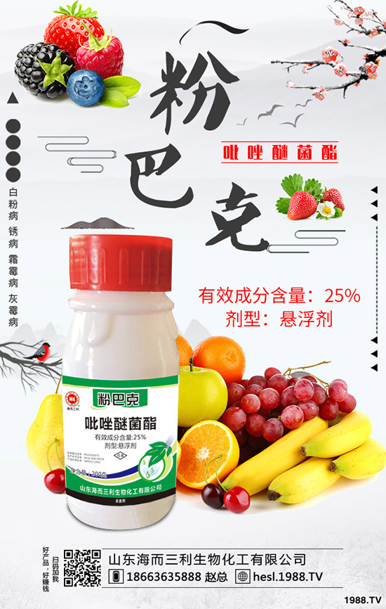 2020年蘆筍種植前景怎么樣？蘆筍如何種植？