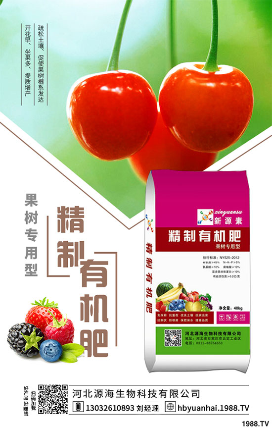 2020年香菇種植前景如何？2020年香菇種植賺錢嗎？