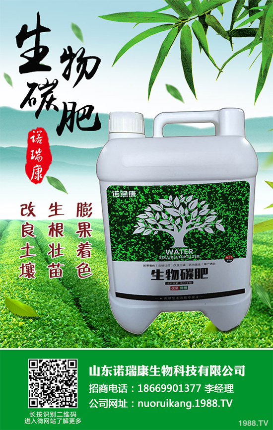 冬茬油麥菜該怎么種?掌握這幾點(diǎn),輕松種出油麥菜!