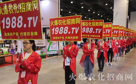 ǧ�̅R�ۣ���Ʒ�Ƽ�|2019�����r(n��ng)����ʢ���_Ļ��