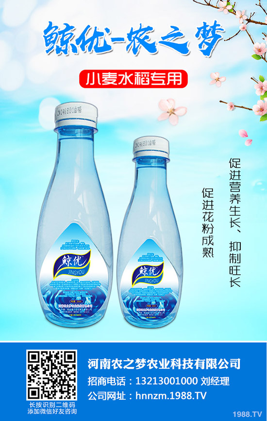 番茄缺鈣是什么表現(xiàn)？番茄補鈣措施！