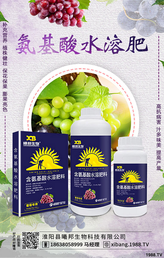 �＾�}����ô�Nֲ���＾�}���Nֲ���g(sh��)������Ҫ�c(di��n)��