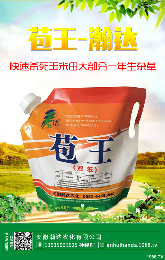 �紺�²���ôʩ�����²�ʩ�ʷ�����ע����헣�