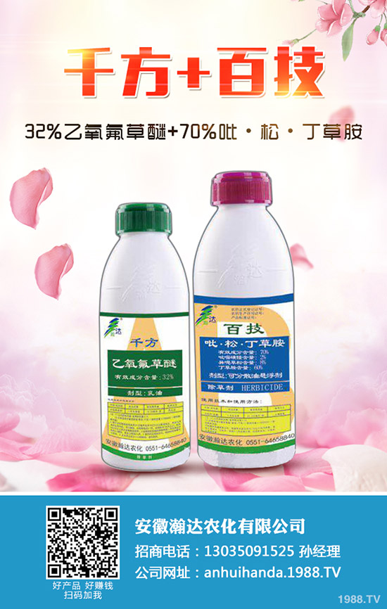 �����R�����ô�N�������R�������Ҫ�c��