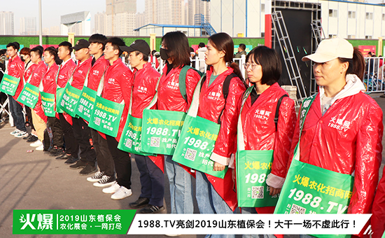 �F(xi��n)��(ch��ng)ֱ����2019ɽ�|ֲ����(hu��)ʢ���_Ļ��ǧ�̅R��������ȼ��ȫ��(ch��ng)!