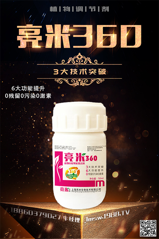 穿心蓮有哪些生長習性？穿心蓮葉的種植技術(shù)！