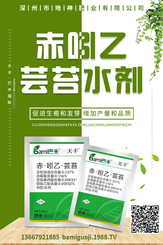 �u�������ӷNֲ���u�����Nֲ���g��ע�������