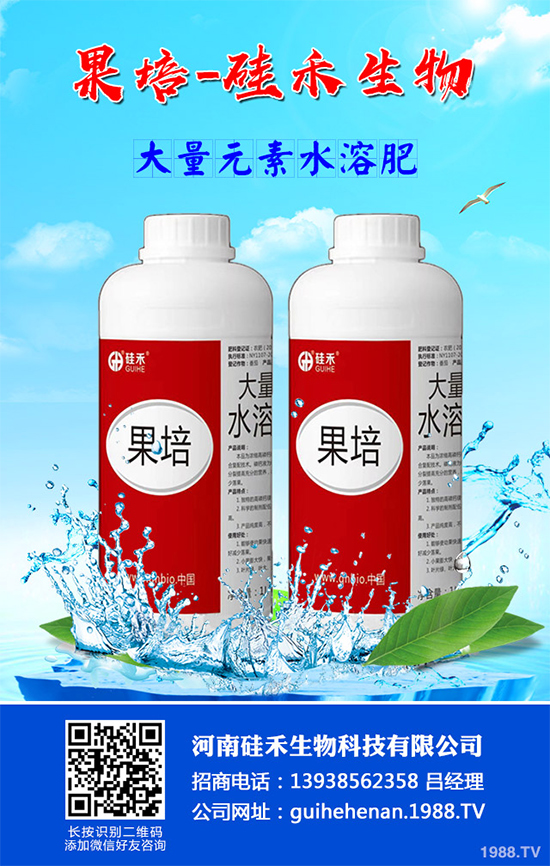 甘藍黑腐病是如何發(fā)生的?有哪些危害?甘藍黑腐病綜合防治方案