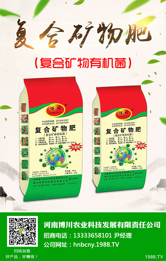 鹽堿地能種植棉花嗎？鹽堿地植棉高產(chǎn)技術(shù)