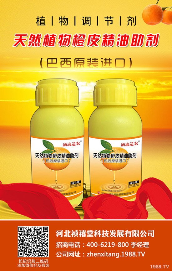 ��픿����ô�Nֲ����β��ܸ߮a(ch��n)���գ�