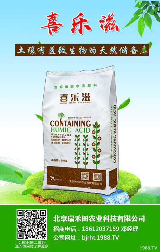 �����~Ƭ�l(f��)�S����ô�����������~Ƭ�l(f��)�S��ô������