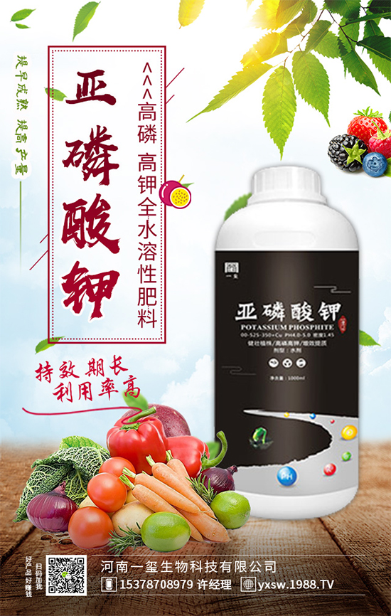 ���Ҙ��ʲô���Y(ji��)�������Ҙ䲻�Y(ji��)����(sh��)�ĵĽ�Q������