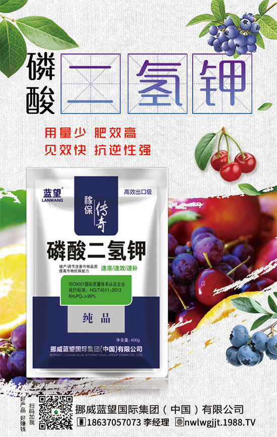 �t�����ֵĠI�B(y��ng)��ʳ�Ãr(ji��)ֵ��������x���ӣ�